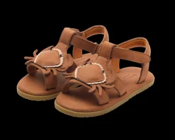 Lee Sea | Crab | Walnut Leather